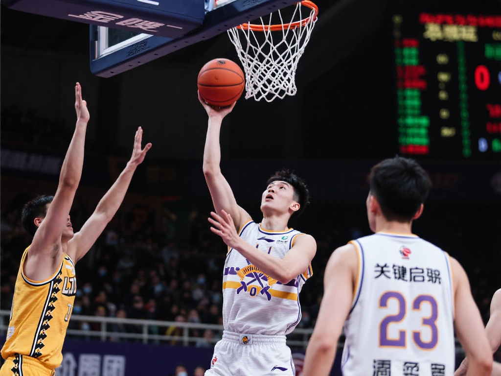 不仅增强了 不仅增强了